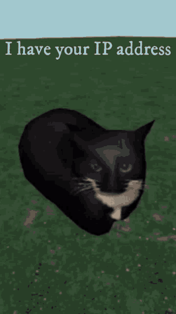 I have your ip