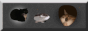 op0sits Button