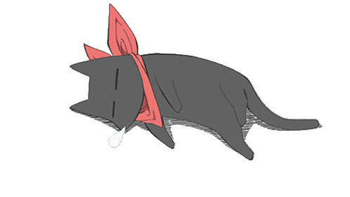 Sleepy cat